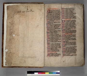 Mariale : [manuscript]