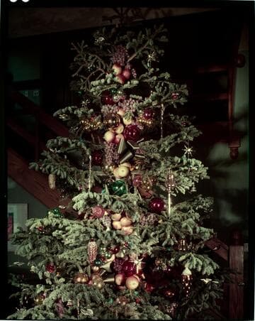 [Christmas decorations]