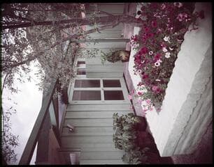 Go to image 2.