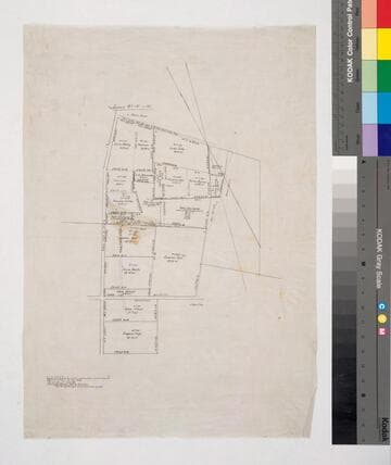 South Los Angeles survey no. 131-141