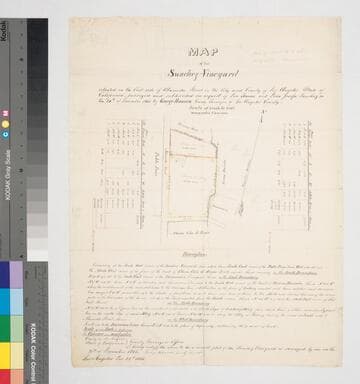Map of the Sanchez Vineyard