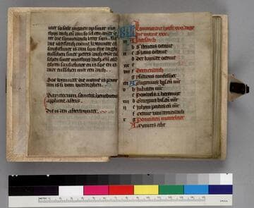 Book of Hours, in Dutch : [manuscript]