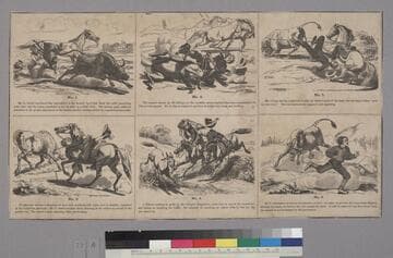 Mr. Gringo’s Experience as a Ranchero