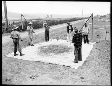 [Miscellaneous agricultural views]