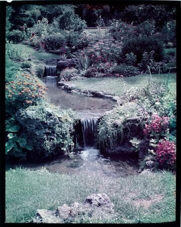 [Unidentified gardens]