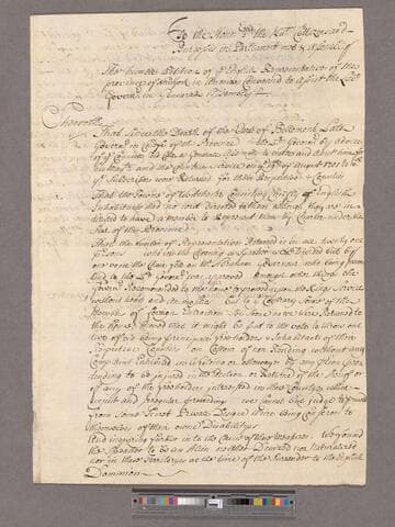 Nicolls, Witt & others. To the House of Representatives : Petition of the English Representatives convened to assist the Lieut. Governor in General Assembly