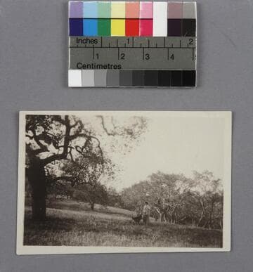 Grace Burke Hubble and her dog in the field where the Hubble's home was later built, in San Marino, California