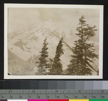 Weinland and Yost families photographs