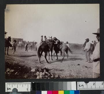 Men riding on horses