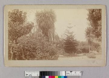 Raymond Nurseries, E. Pasadena, exterior view