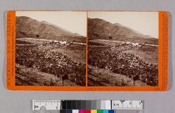 Apiary at Sierra Madre Villa, San Gabriel