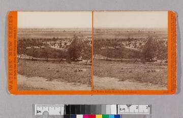 The Santa Anita Ranch, San Gabriel