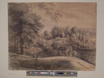 Wooded Lane with Cottage