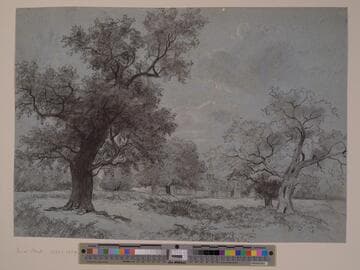 Trees and House; Knole (?)