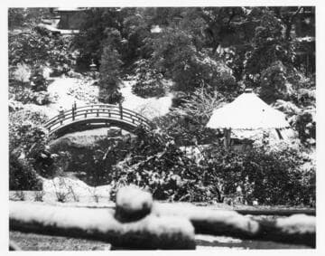Japanese garden after snowfall, January 11, 1949