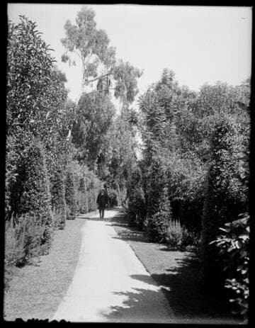 Henry E. Huntington on path, 1918