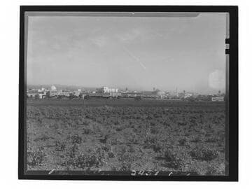 Panoramic view of early Westwood Village