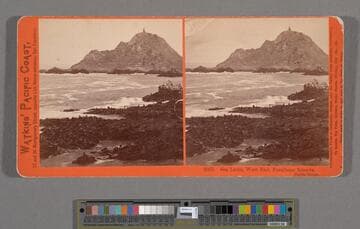 Sea Lions, West End, Farallone Islands, Pacific Ocean