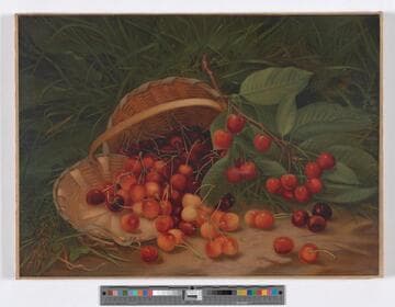 Cherries and basket