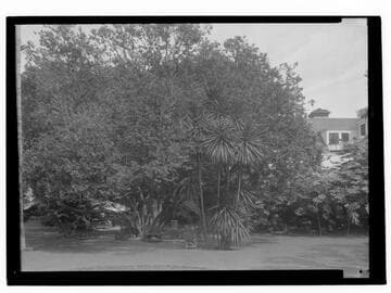 Outdoor furniture on the grounds of the Miramar Hotel, Santa Monica