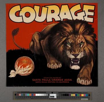 Courage Brand