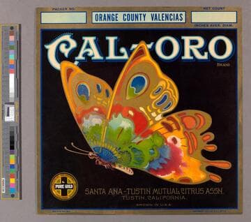 Cal-Oro Brand