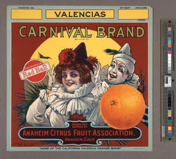 Carnival Brand