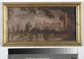 California views. No. 9. Big trees, Calaveras Grove