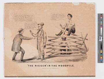 “The nigger” in the woodpile