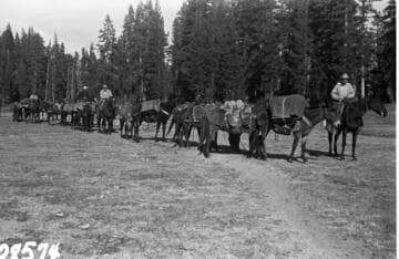 Big Creek, Fish Valley - Spring Meadow