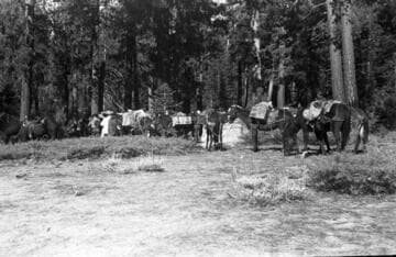Big Creek, Fish Valley