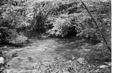 Santa Ana River #1 Powerhouse - Bear Creek above S.A.R. #1 Intake