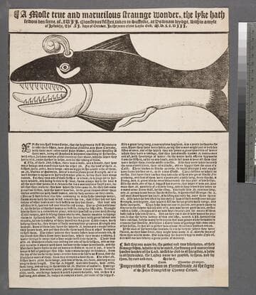 A moste true and marueilous straunge wonder, the lyke hath seldom ben seene, of. XVII. monstrous fishes, taken in Suffolke, at Downham brydge, within a myle of Ipswiche. The .XI. daye of October. in the yeare of our Lorde God. M.D.LX.VIII