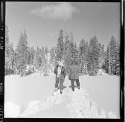 Go to image 15.