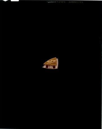 Southern California Edison service award pin