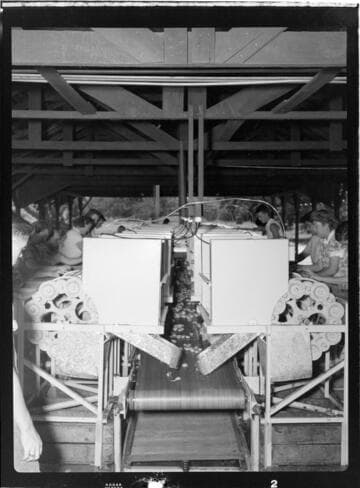 Workers processing fruit in plant