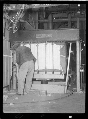 Man working with cotton gin