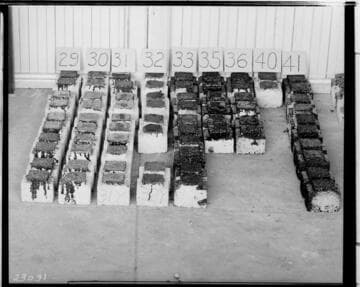 T2 Testing - Bond test specimens after testing