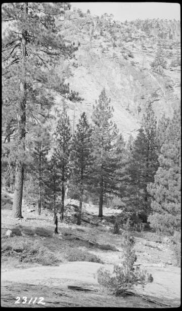 Big Creek, Miscellaneous - Jackass Dam site