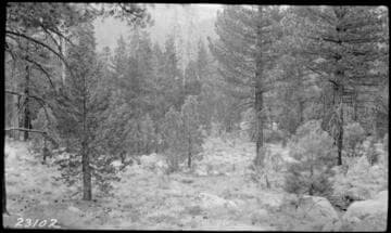 Big Creek, Miscellaneous - Vermilion Valley