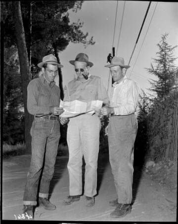 Three men looking over work plans along transmission line in forest