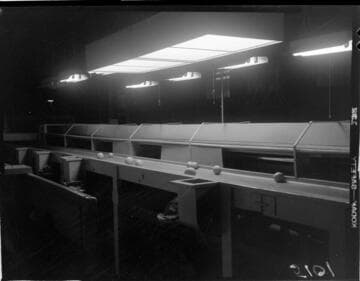 Fruit on conveyors