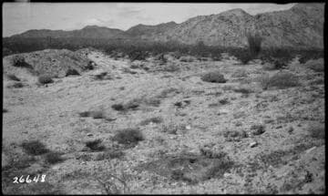 Boulder-Chino Transmission Line (3rd)