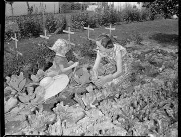 The wife and daughter of Edison employee J.C. Phipps
