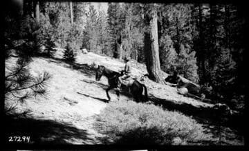 Big Creek, Fish Valley - Chadwick - Reconnaissance on horseback