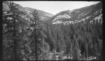 Big Creek, Fish Valley - Upstream from right abutment - possible Fish Creek diversion site