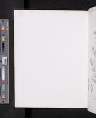 Go to image 389.