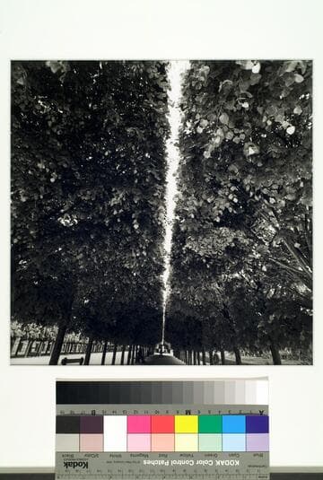 Jardin du Luxembourg