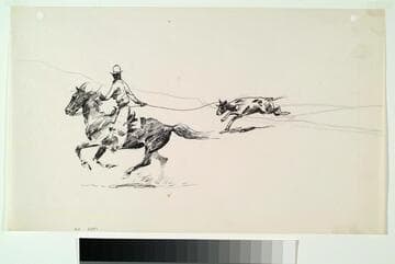 Steer Roping - Lone Steer