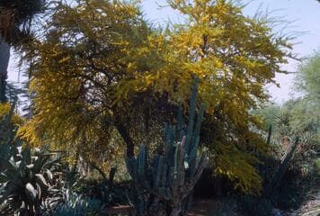 Go to image 5.